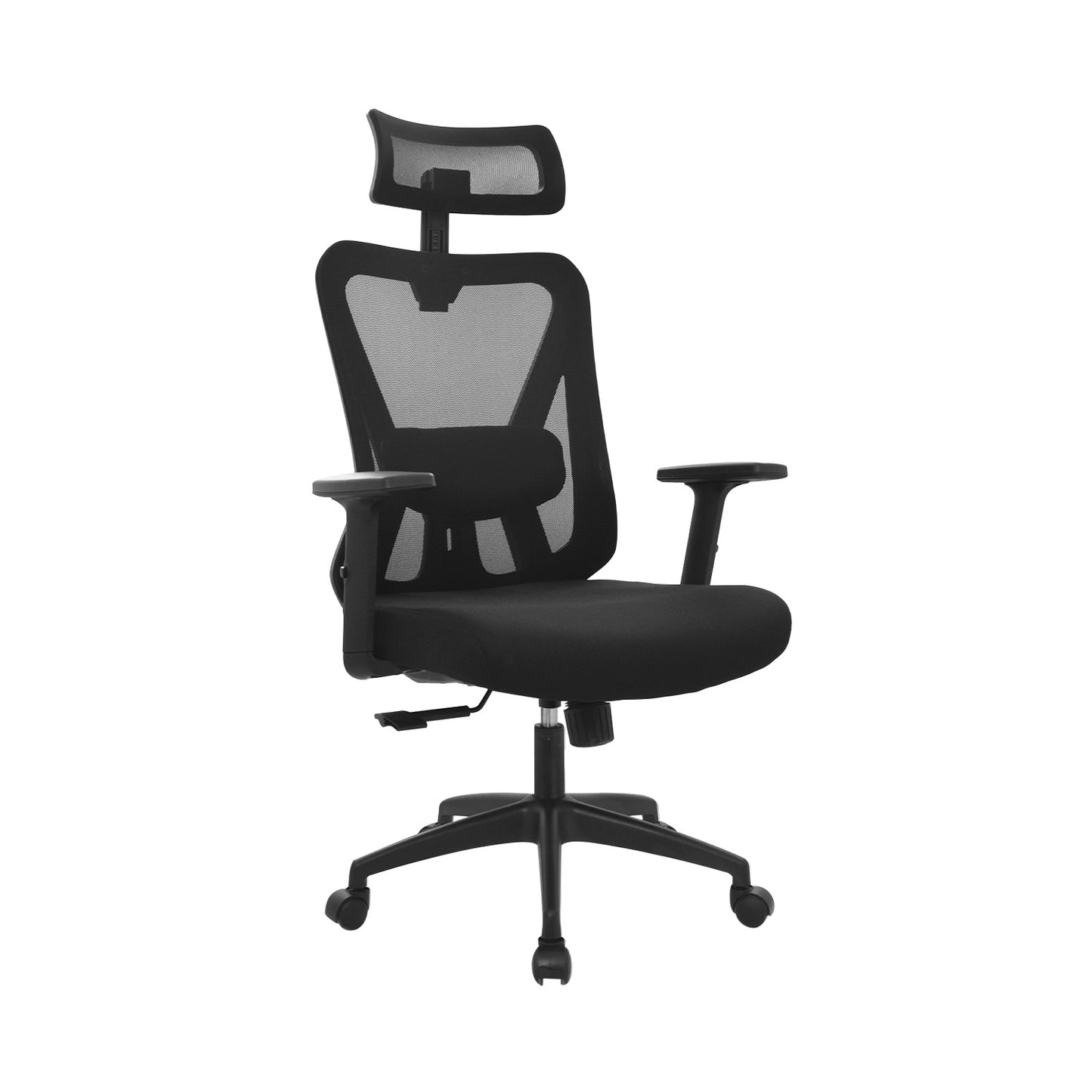 Silla Dolfin