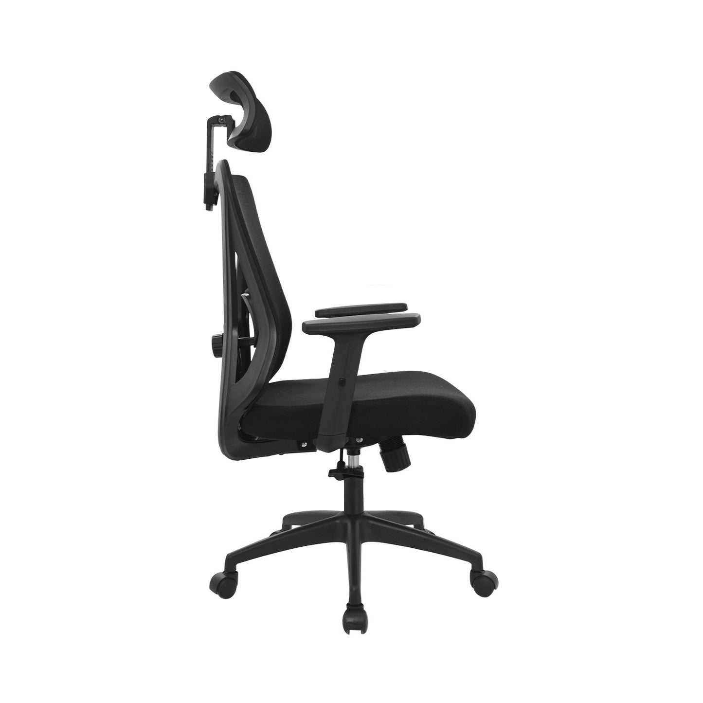 Silla Dolfin