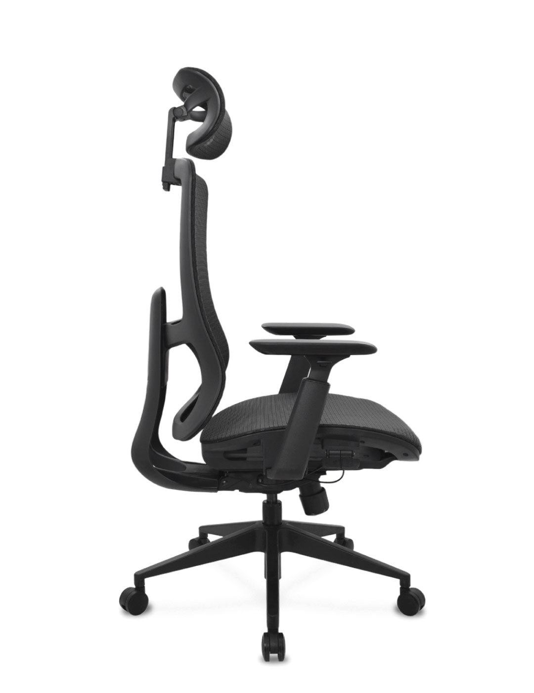 Silla Sun